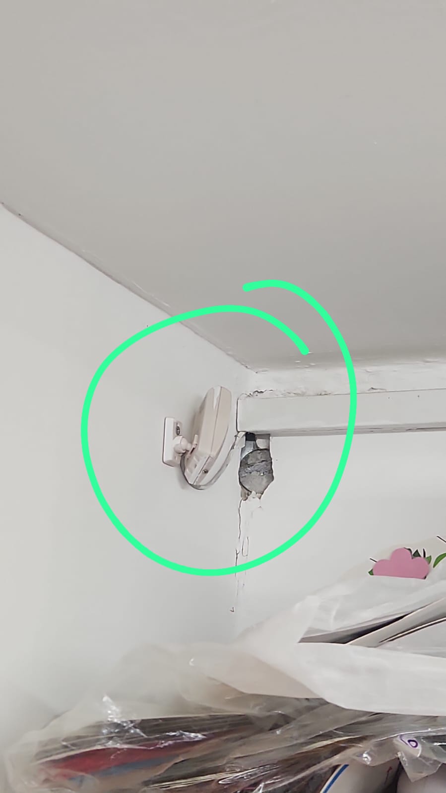 WhatsApp Image 2023-11-20 at 12.25.28.jpeg